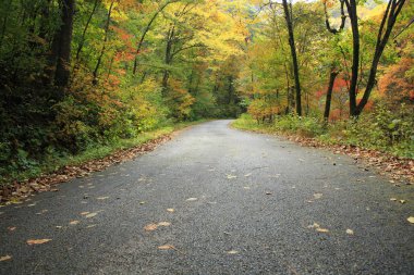 Dağlardaki küçük yol