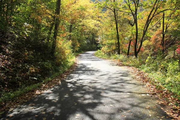 Small Road Mountains — Stock Photo, Image