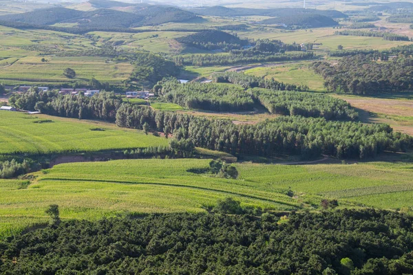 Őszi Erdő Termőföldek — Stock Fotó