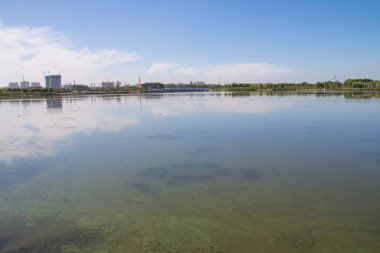 Klorella ile kirlenmiş göl suyu