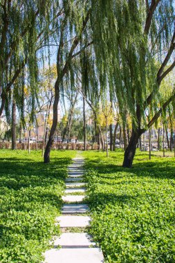 Çimenlikte taş yol