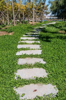 Çimenlikte taş yol