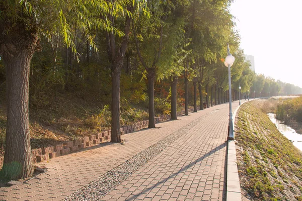 Sidewalk Levee — Stock Photo, Image