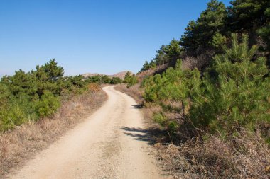 Dağlar arasındaki toprak yol