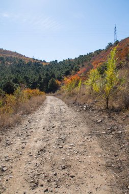 Dağlar arasındaki toprak yol