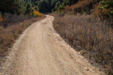 Dağlar arasındaki toprak yol
