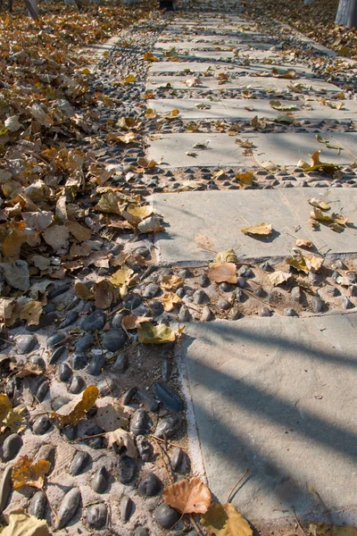Sonbahar Parkında Taş Yol — Stok fotoğraf
