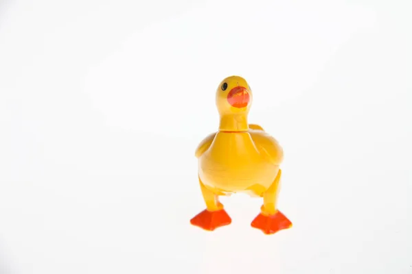 Plastic Brinquedo Pato Close — Fotografia de Stock