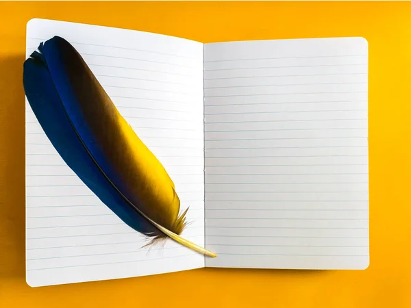 An open notebook with a feather of a bird in on an amber background. Yellow background with place for text in an open notebook. blue-yellow feather of a bird inside an open notebook. Space for text.