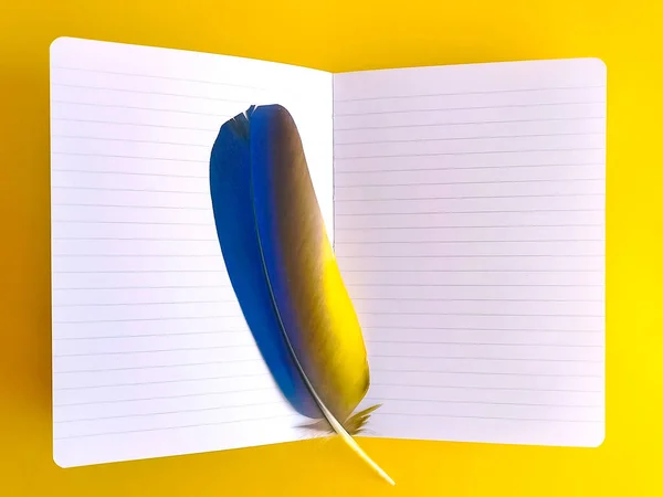 An open notebook with a feather of a bird in on an amber background. Yellow background with place for text in an open notebook. blue-yellow feather of a bird inside an open notebook. Space for text.