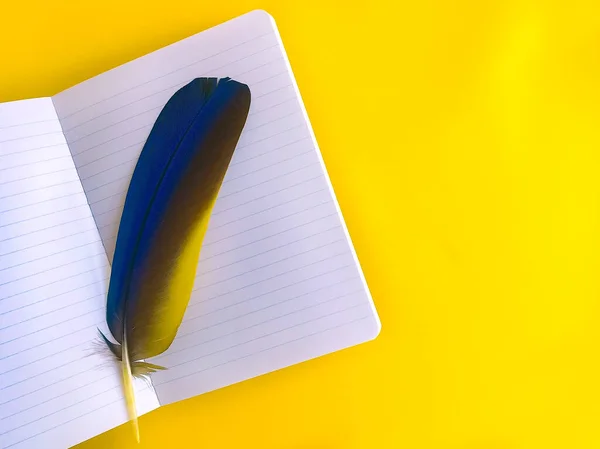 An open notebook with a feather of a bird in on an amber background. Yellow background with place for text in an open notebook. blue-yellow feather of a bird inside an open notebook. Space for text.