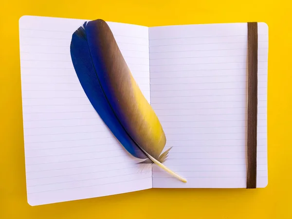 An open notebook with a feather of a bird in on an amber background. Yellow background with place for text in an open notebook. blue-yellow feather of a bird inside an open notebook. Space for text.