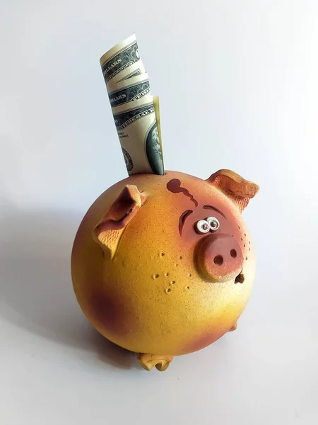 Piggy bank pig with money on a white background. Banknotes stick out of the piggy bank. Concept: Savings, Budget Management, Parsimony Money