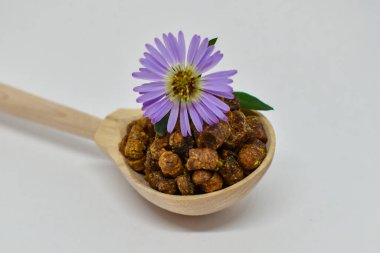 Ambrosia (arı ekmeği) beyaz bir arka planda tahta bir kaşıkta, hindiba çiçeği üzerinde yatar. Seçici odaklanma. Arıcılık ürünü. Sağlıklı gıda konsepti. Arı ekmeği ve hindiba ile tahta kaşık.