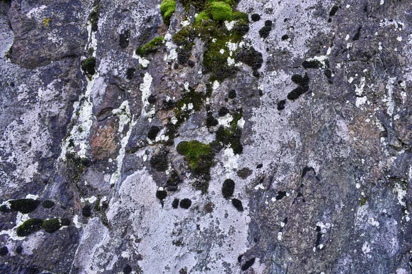 Textura Roca Roca Piedra Cubierta Musgo Piedra Sobre Que Crece —  Fotos de Stock