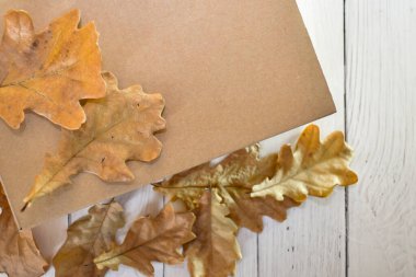 Sonbahar meşe yaprakları karton bir kutunun arka planına saçılmıştır. Konsept: Mevsimlik teslimat, ambalaj, doğal çevre dostu ürünler. Metin için boşluk.