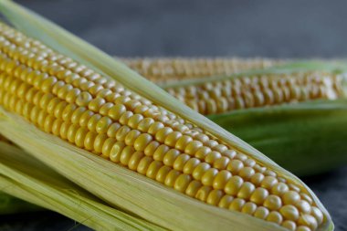 Koyu arkaplanda mısırı kapat