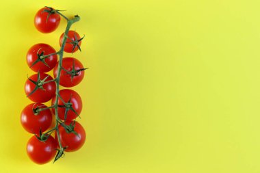 Sarı arka planda izole edilmiş bir domates dalı. Kiraz domatesleri.