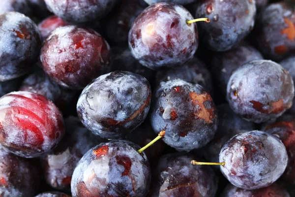 Macro Photo food fruit plums. Texture background of fresh blue plums. Image fruit product blue plums