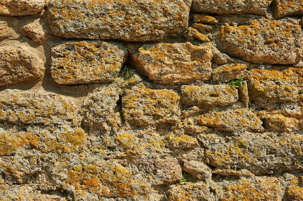 Ancient Stone Wall Yellow Grunge Texture Old Brick — Stock Photo, Image