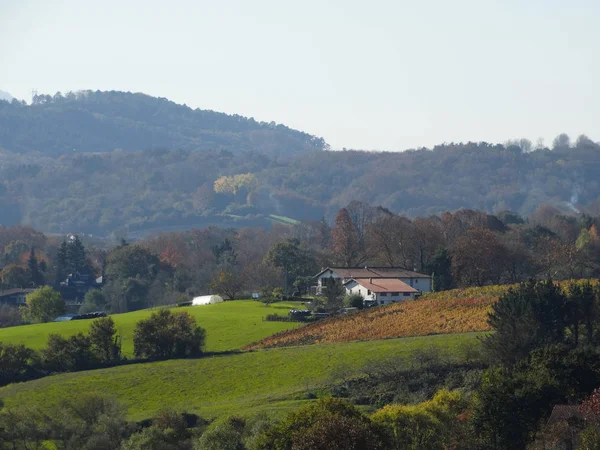 Basco Casa Tradizionale Green Hills — Foto Stock