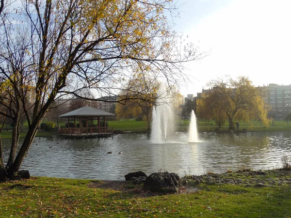 Lago Yamaguchi Park Pamplona Navarra Espanha — Fotografia de Stock