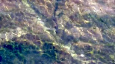 Görüntüleri doğa su yakın