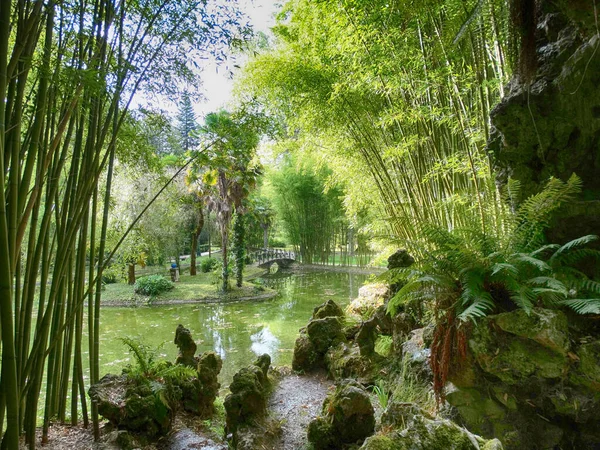 Paisaje Del Parque Nacional Bertiz Navarra España —  Fotos de Stock