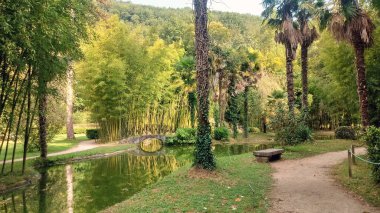 Bertiz Ulusal Parkı manzarası, Navarre, İspanya