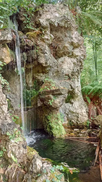 Cascade Végétation Dans Étang — Photo