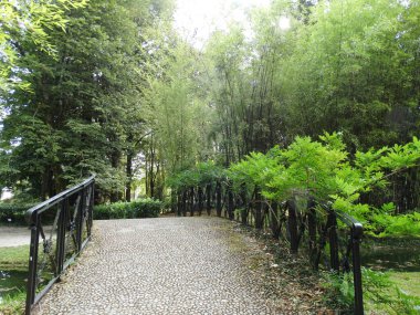 Navarre İspanya 'daki Bertiz Doğa Parkının manzarası      