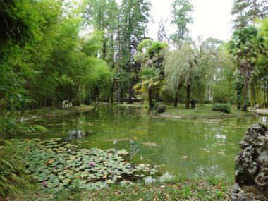 Navarre İspanya 'daki Bertiz Doğa Parkının manzarası      