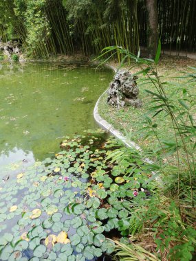 Navarre İspanya 'daki Bertiz Doğa Parkının manzarası      