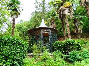 Palm ve Green Vegetation ile çardak         