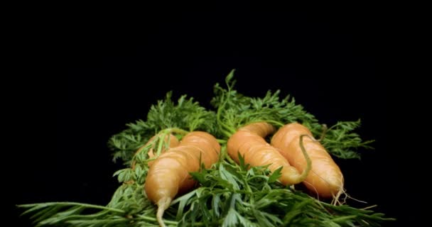 Zanahorias de cerca — Vídeo de stock