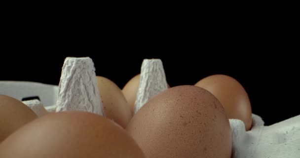 Sekotak telur super makro closeup menembak — Stok Video