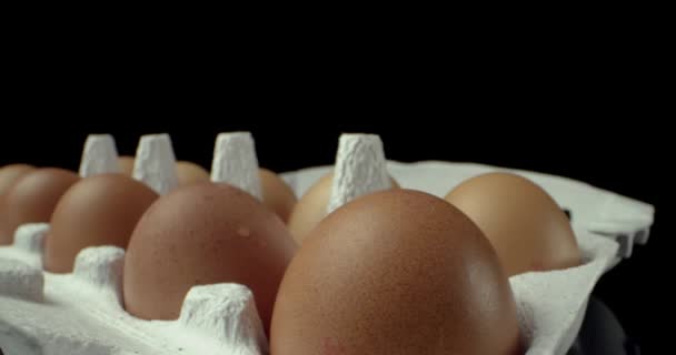 Caja de huevos super macro primer plano disparar — Vídeo de stock