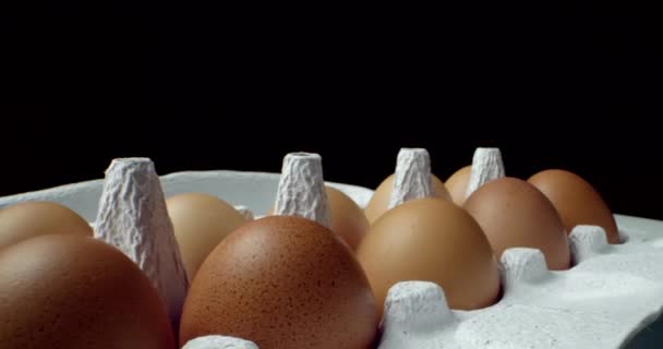 Box of eggs super macro closeup shoot — Stock Video