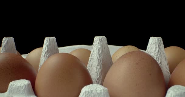 Caixa de ovos super macro close-up atirar — Vídeo de Stock