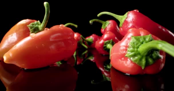 Kryddig peppar röd färsk chili paprika mat 4k hq super makro närbild — Stockvideo