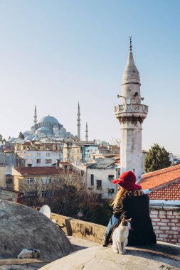 Sarışın bir kadın çatıda cami manzaralı bir kediyi okşuyor, İstanbul, Türkiye. İstanbul 'da güneşli bir sonbahar gününde şapkalı bir kız çatıda oturuyor. Gezgin kız kışın İstanbul 'da yürüyor.