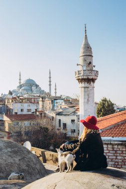 Sarışın bir kadın çatıda cami manzaralı bir kediyi okşuyor, İstanbul, Türkiye. İstanbul 'da güneşli bir sonbahar gününde şapkalı bir kız çatıda oturuyor. Gezgin kız kışın İstanbul 'da yürüyor.