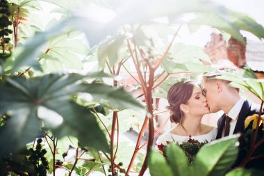 Güneşli bir sonbahar gününde gelinlik giymiş genç bir çift şehirde dolaşıyor. Birbirine aşık bir çift. Mutlu bir karı kocanın yakın plan portresi. Komik adam ve kız dışarıda gülüyorlar..