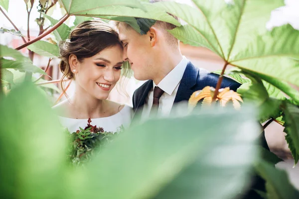 Jovem Casal Roupas Casamento Dia Ensolarado Outono Passear Pela Cidade — Fotografia de Stock