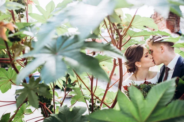 Jovem Casal Roupas Casamento Dia Ensolarado Outono Passear Pela Cidade — Fotografia de Stock