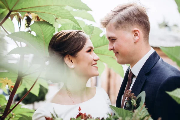 Ein Junges Paar Hochzeitskleidung Einem Sonnigen Herbsttag Spaziert Durch Die — Stockfoto