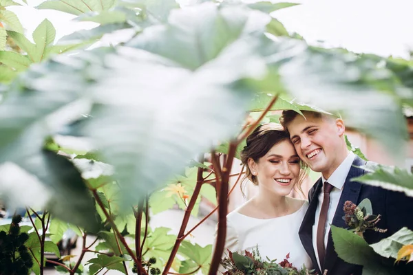 Ein Junges Paar Hochzeitskleidung Einem Sonnigen Herbsttag Spaziert Durch Die — Stockfoto