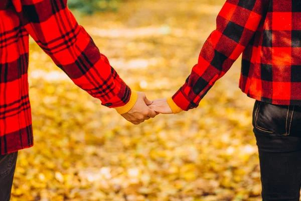 Young Couple Walks Autumn Forest Holding Hands Stylishly Dressed Guy — Stock Photo, Image