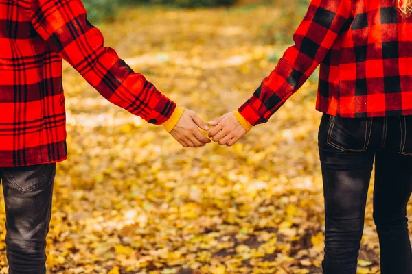 Young Couple Walks Autumn Forest Holding Hands Stylishly Dressed Guy — Stock Photo, Image