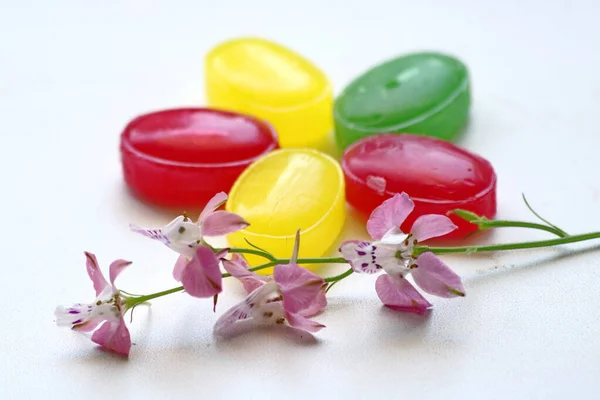 Colorful Lollipops White Background Close Macro Decorated Sprig Wild Flowers — Stock Photo, Image